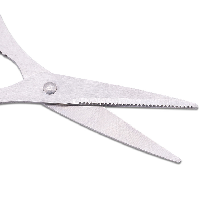 Stainless Steel Scissors Vigor - đánh giá và giá Baby Food Scissors