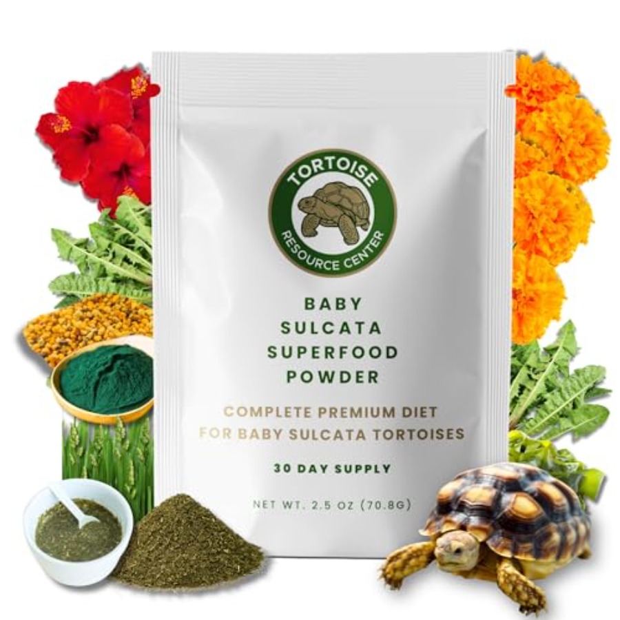 【Spot goods】Baby Sulcata Food  - đánh giá và giá Baby Food Diet