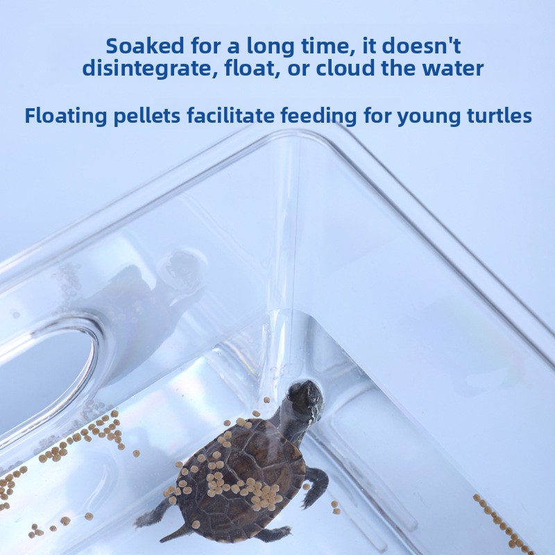 Vibes Baby Turtle Food - Easy  - đánh giá và giá Baby Food Diet