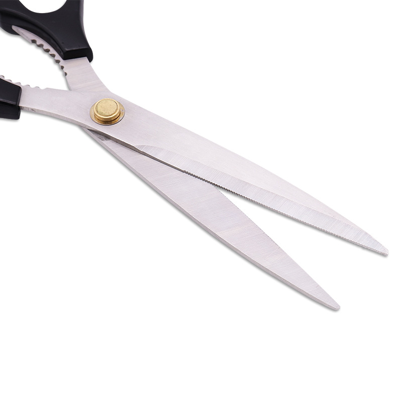 BarbecueScissors Baby Compleme - đánh giá và giá Baby Food Scissors
